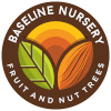 Baseline Nursery Logo